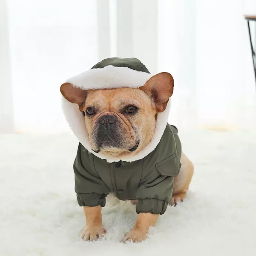 Dog Winter Hoodie Jacket - Picture 6 of 14
